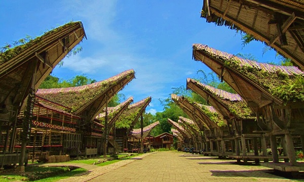 Toraja Utara punya 12 Desa Wisata