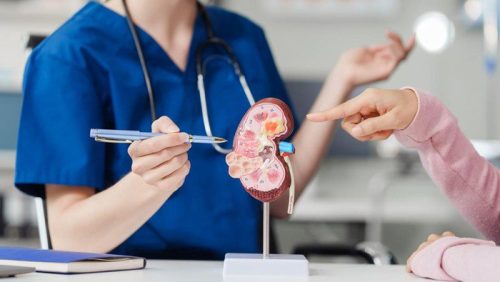 Ketahui 5 Gejala Awal Penyakit Ginjal, Banyak Orang Mengabaikan