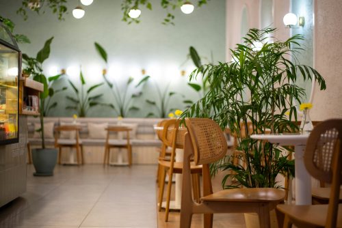 Ilustrasi desain interior Mark Trees Cafe Makassar yang asri dengan hiasan tanaman hijau yang adem. 