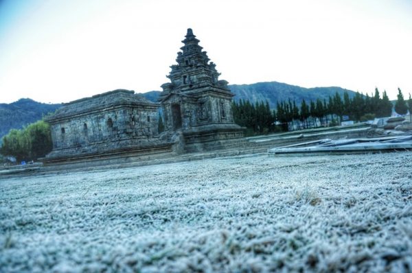Tampak Indah Tapi Embun Es di Dieng Disebut Embun Racun, Mengapa
