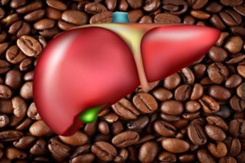 kopi kesehatan liver
