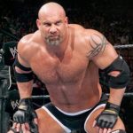 bill goldberg WWE brock lesnar
