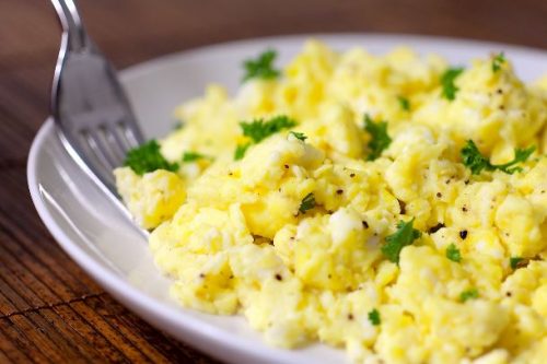 telur protein tinggi