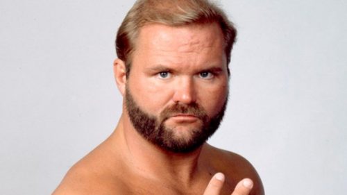 wcw arn anderson