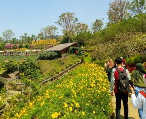 Pemandangan Bunga di Rainbow Garden