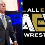 Ric Flair AEW