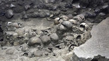 Sejumlah tengkoran manusia yang merupakan bagian dari menara Aztec terlihat di situs arkeologi Templo Mayor, di Mexico City, Meksiko, 22 September 2020. Huey Tzompantli diperkirakan terbuat dari sekitar 60.000 hingga 100.000 tengkorak manusia. [Institut Nasional Antropologi dan Sejarah (INAH) via REUTERS]