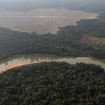 Hutan Amazon Brasil