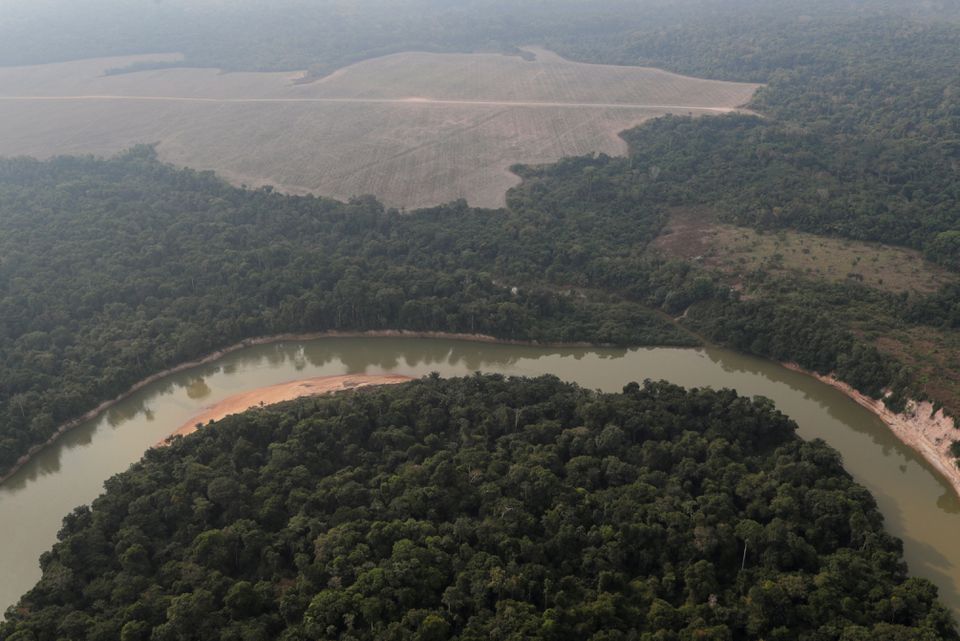 Hutan Amazon Brasil