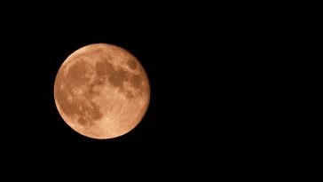 Fenomena Supermoon Pink