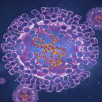 Ilmuwan: Wabah Cacar Monyet di Eropa dan AS tak Sama dengan Cacar Monyet di Afrika