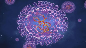 Ilmuwan: Wabah Cacar Monyet di Eropa dan AS tak Sama dengan Cacar Monyet di Afrika