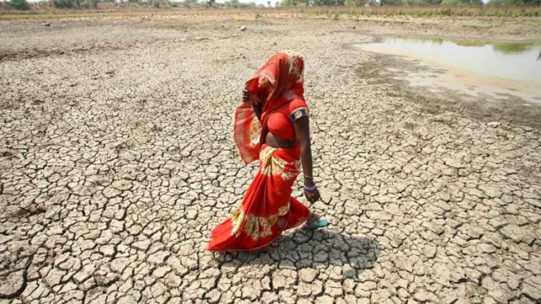 WMO: Dunia Bisa Hadapi Pemanasan 1,5 Derajat C Dalam 5 Tahun Mendatang