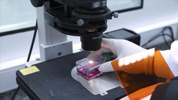 CDC Nigeria Konfirmasi 21 Kasus Cacar Monyet Tahun Ini