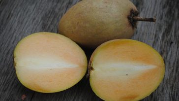 5 Manfaat Rutin Mengonsumsi Buah Sawo