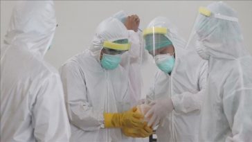 Indonesia Laporkan 556 Kasus COVID-19 dan 7 Kematian