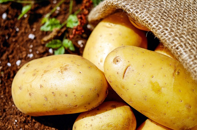 Jangan Simpan Kentang Dekat Apel dan Bawang, Ini Efeknya!