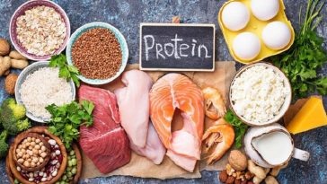 Lima Hal yang Terjadi Jika Tubuh Kekurangan Asupan Protein