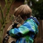 Adopsi Kucing Pertama Kali, Ini 4 Hal yang Wajib Kamu Tahu!