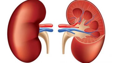 Ini Tanda-Tanda Ginjal Mulai Rusak