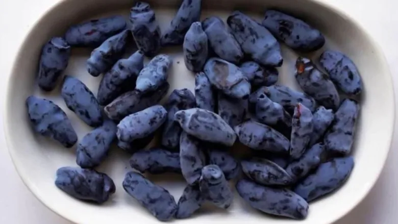 Turunkan Tekanan Darah Tinggi, Cobalah Makan Buah Beri Ini Setiap Hari!