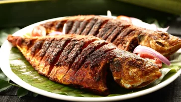 Lima Manfaat Ikan Gabus yang Tinggi Protein