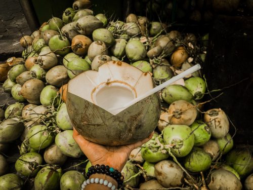 Selain Segar, Ini Deretan Manfaat Konsumsi Air Kelapa