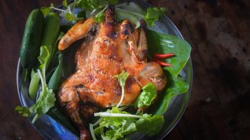 Membekukan Ayam yang Sudah Dimasak tak Bisa Sembarangan, Ini Tipsnya