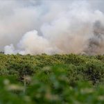 Kebakaran Hutan di Eropa Naik Hampir Empat Kali Lipat Tahun Ini