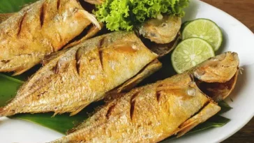 Tiga Keunggulan Ikan Kembung Dibanding Ikan Salmon