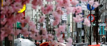 Jepang Dibuka Kembali untuk Turis, Tapi Toko Suvenir Tutup dan Kekurangan Staf Hotel