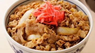 Resep Gyudon, Rice Bowl Jepang Ala Yoshinoya