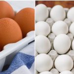 Telur Bercangkang Cokelat atau Putih, Mana yang Lebih Baik?