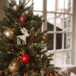 Mudah Dijumpai Jelang Natal: 4 Fakta Unik Pohon Cemara