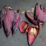 Mengandung Banyak Nutrisi, Ini 5 Manfaat Konsumsi Jantung Pisang