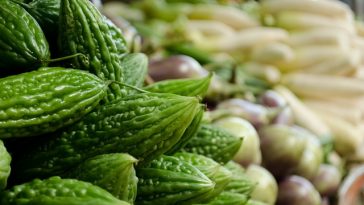 Meski Rasanya Pahit, Inilah 4 Manfaat Pare bagi Kesehatan