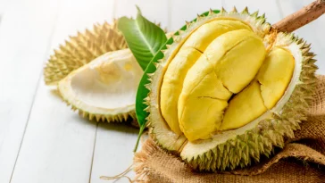 Hindari Makan Durian jika Kamu Menderita Penyakit Ini