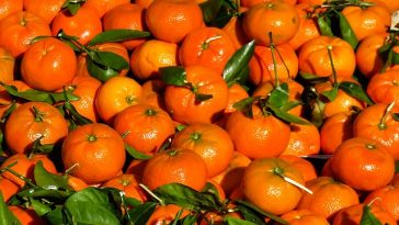 Mengapa Jeruk Disajikan untuk Melengkapi Perayaan Imlek?