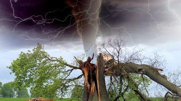 Lakukan 4 Langkah Ini Jika Terjebak Angin Puting Beliung