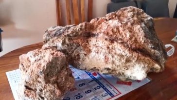 Muntahan Paus Ternyata Dihargai Rp21 Miliar, Untuk Apa?