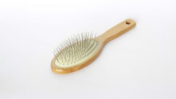 Ini Cara Benar Membersihkan Sisir, Berapa Kali Sepekan Sebaiknya?