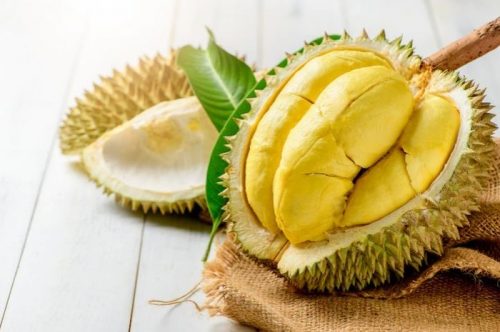 Lima Jenis Durian Populer di Indonesia, Mana Paling Enak?
