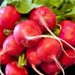 Mengenal Sayuran Lobak dan Deretan Nutrisi yang Terkandung di Dalamnya