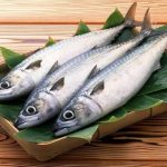 Bangsa Viking Gemar Makan Ikan Herring Mentah, Ternyata Ini Manfaatnya untuk Kesehatan