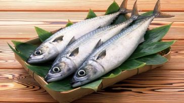Bangsa Viking Gemar Makan Ikan Herring Mentah, Ternyata Ini Manfaatnya untuk Kesehatan