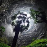 Ilmuwan Temukan Lubang Raksasa Berisi Hutan Purba di China
