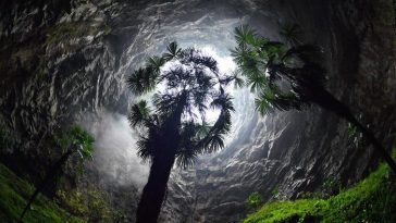 Ilmuwan Temukan Lubang Raksasa Berisi Hutan Purba di China