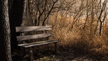 Bunuh Diri Massal Kembali Terjadi di China