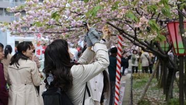 Tiga Prinsip Orang Jepang Turunkan Berat Badan, Mudah Diterapkan!