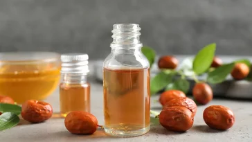 Manfaat Minyak Jojoba untuk Mengatasi Jerawat